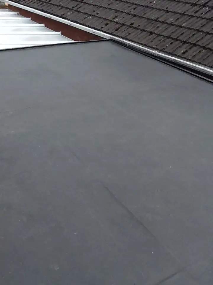 Dryfix roof project